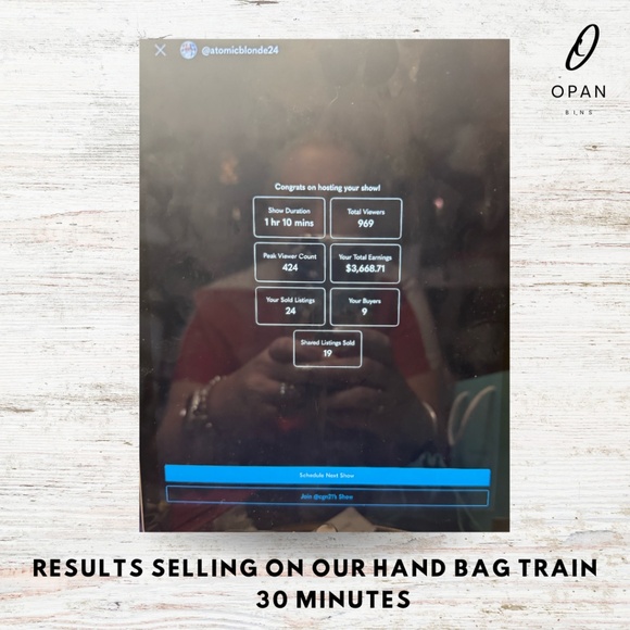 The Opan Bins Luxury Handbag Train | DECEMBER Edition - Picture 3 of 4